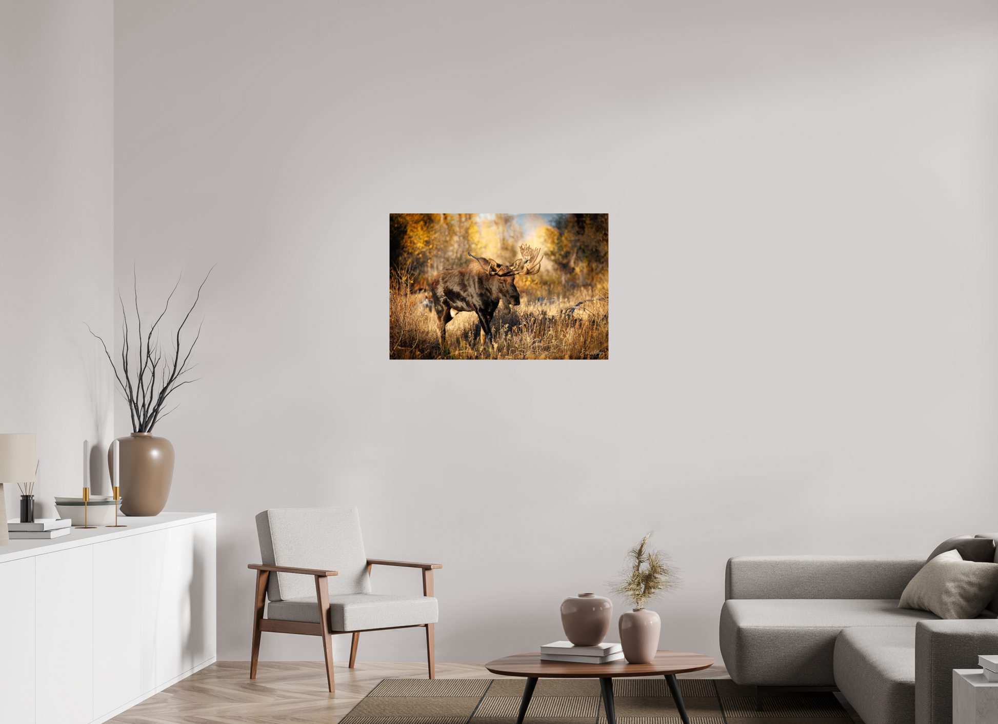 36 x 24″, Metal "Monarch of Gros Ventre" - Bull Moose