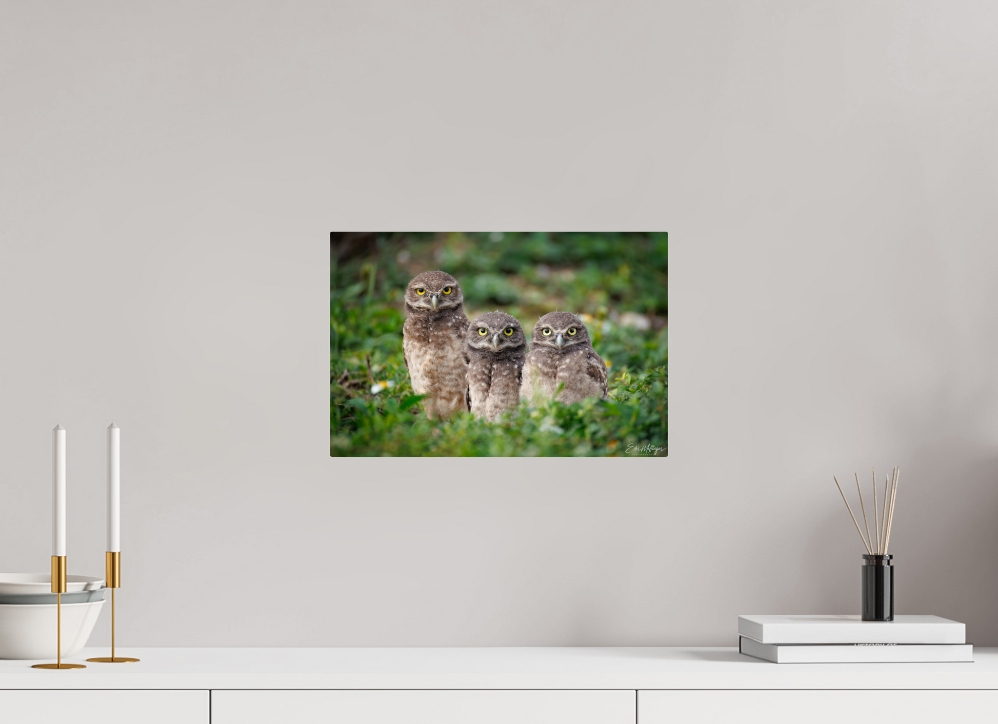 15 x 10″, Metal Three Little Burrowing Owls - Burrowing Owls