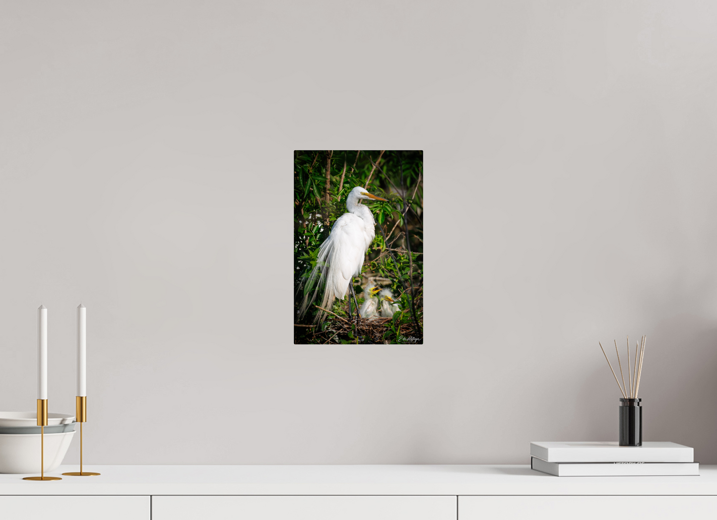 8 x 12″, Metal "Family Moment" - Great Egrets