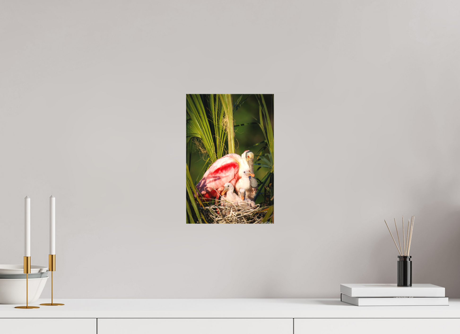 8 x 12″, Canvas "Golden Hour Nest" - Spoonbills