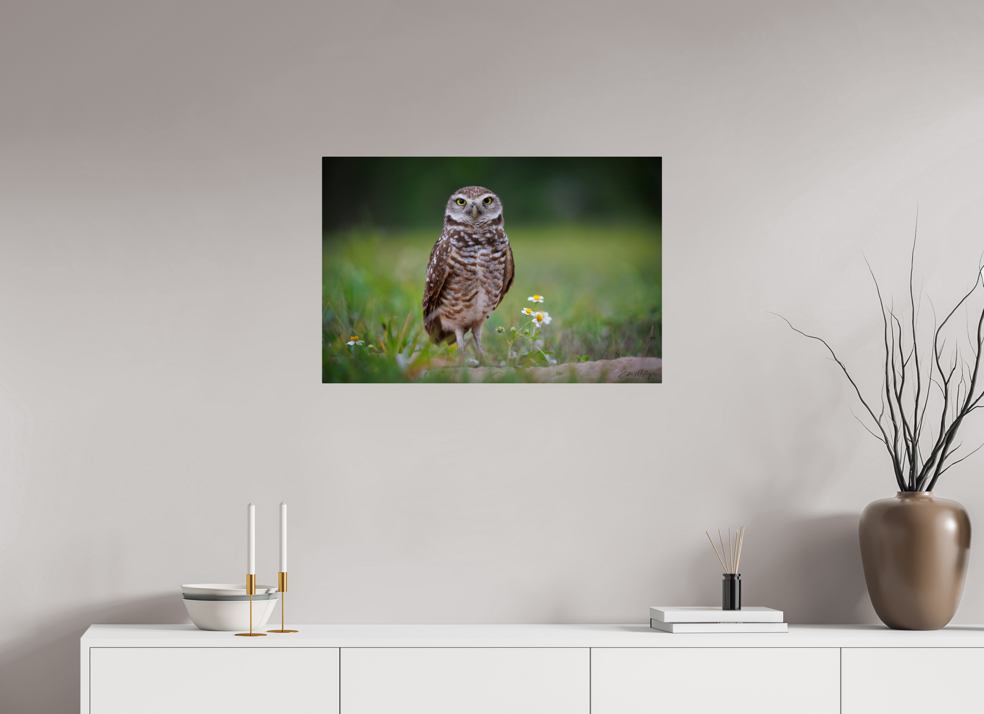30 x 20″, Metal "The Watcher" - Burrowing Owl