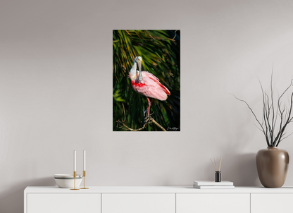 20 x 30″, Metal "Blush of the Wetlands" - Roseate Spoonbill