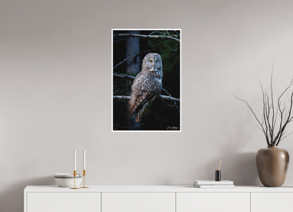 20 x 30″, Fine art print "Keeper of the Dawn" - Great Grey Owl