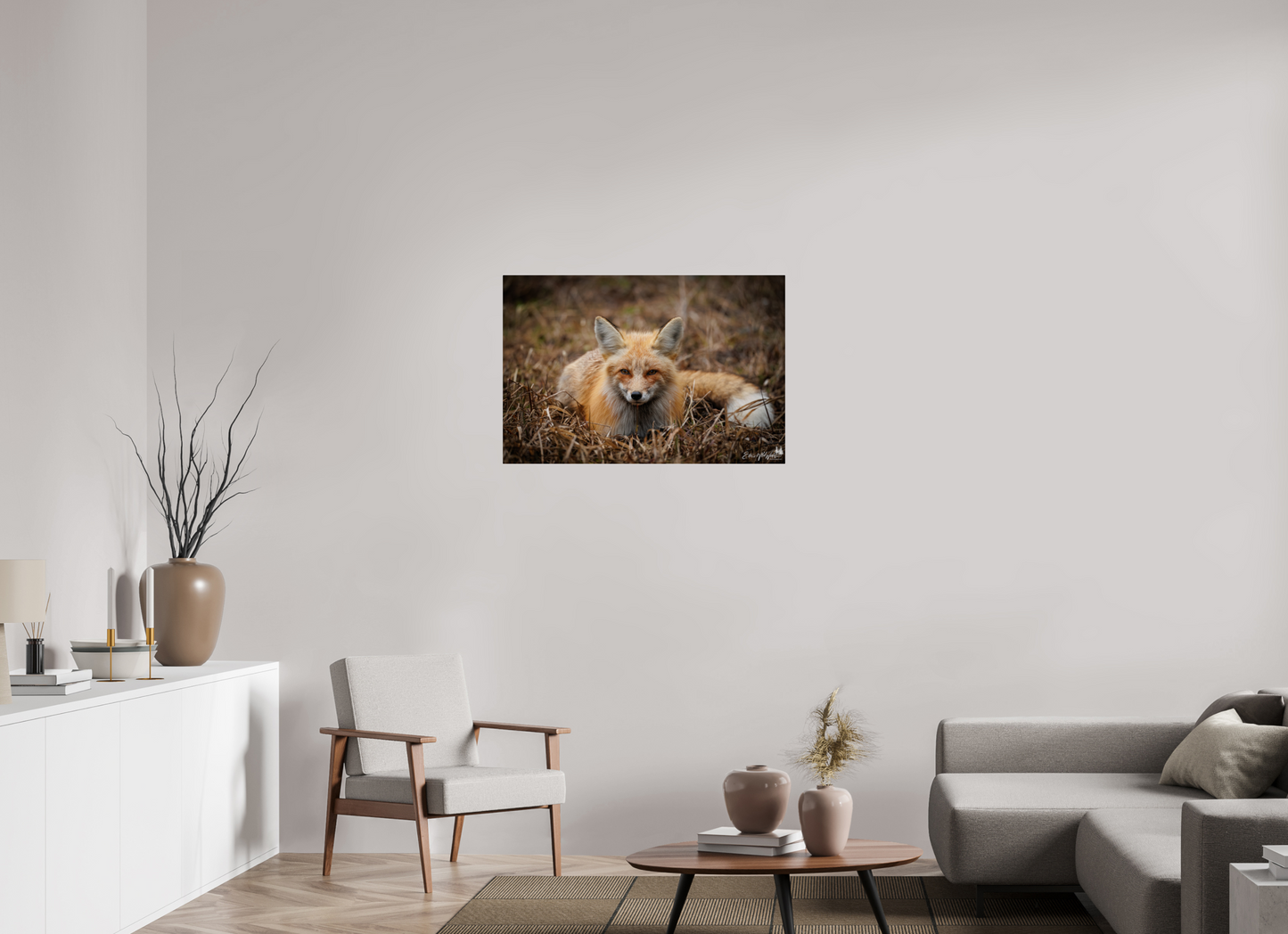 Bedded down fox