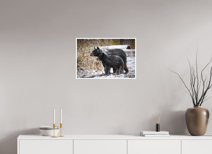 24 x 16″, Fine art print "Guardians of the Snow" - Black Bears