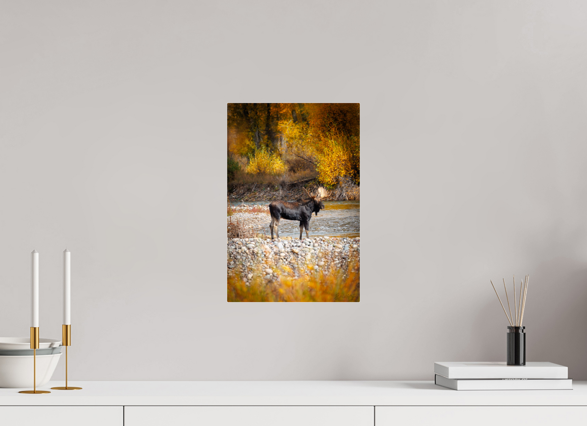 10 x 15″, Acrylic "King of the Colors" - Bull Elk, Gros Ventre River