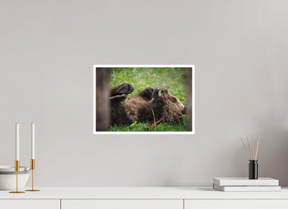 Bear smelling flower