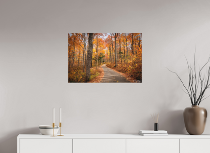 30 x 20″, Canvas "Golden Path" - Roaring Fork Road