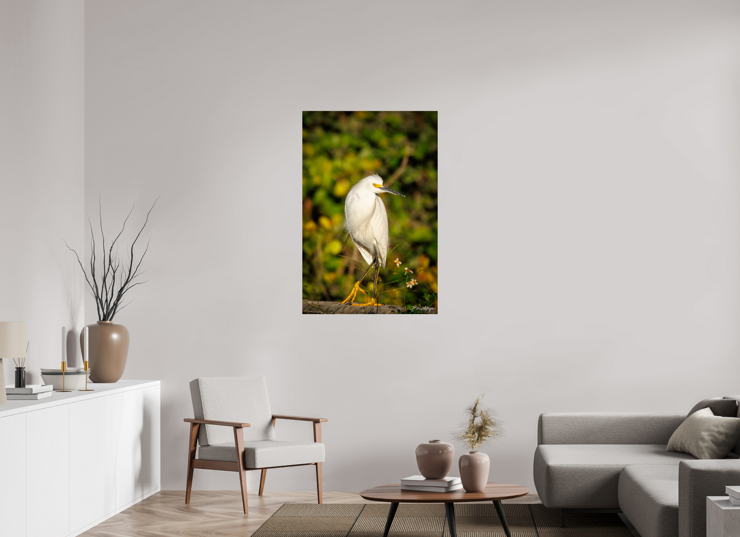 30 x 45″, Metal "Golden Light, White Silence" - Great Egret