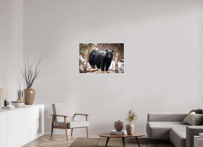 36 x 24″, Metal "Winter Watcher" - Black Bear
