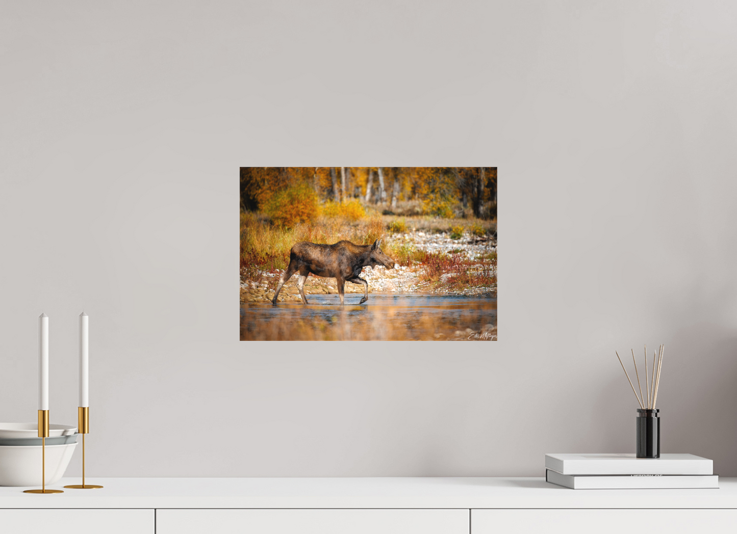 15 x 10″, Canvas "Grace of Gros Ventre" - Moose