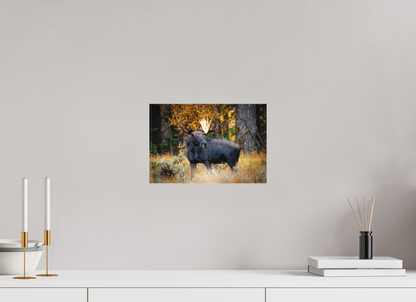 12 x 8″, Canvas "Guardian of the Gros Ventre" - Bull moose