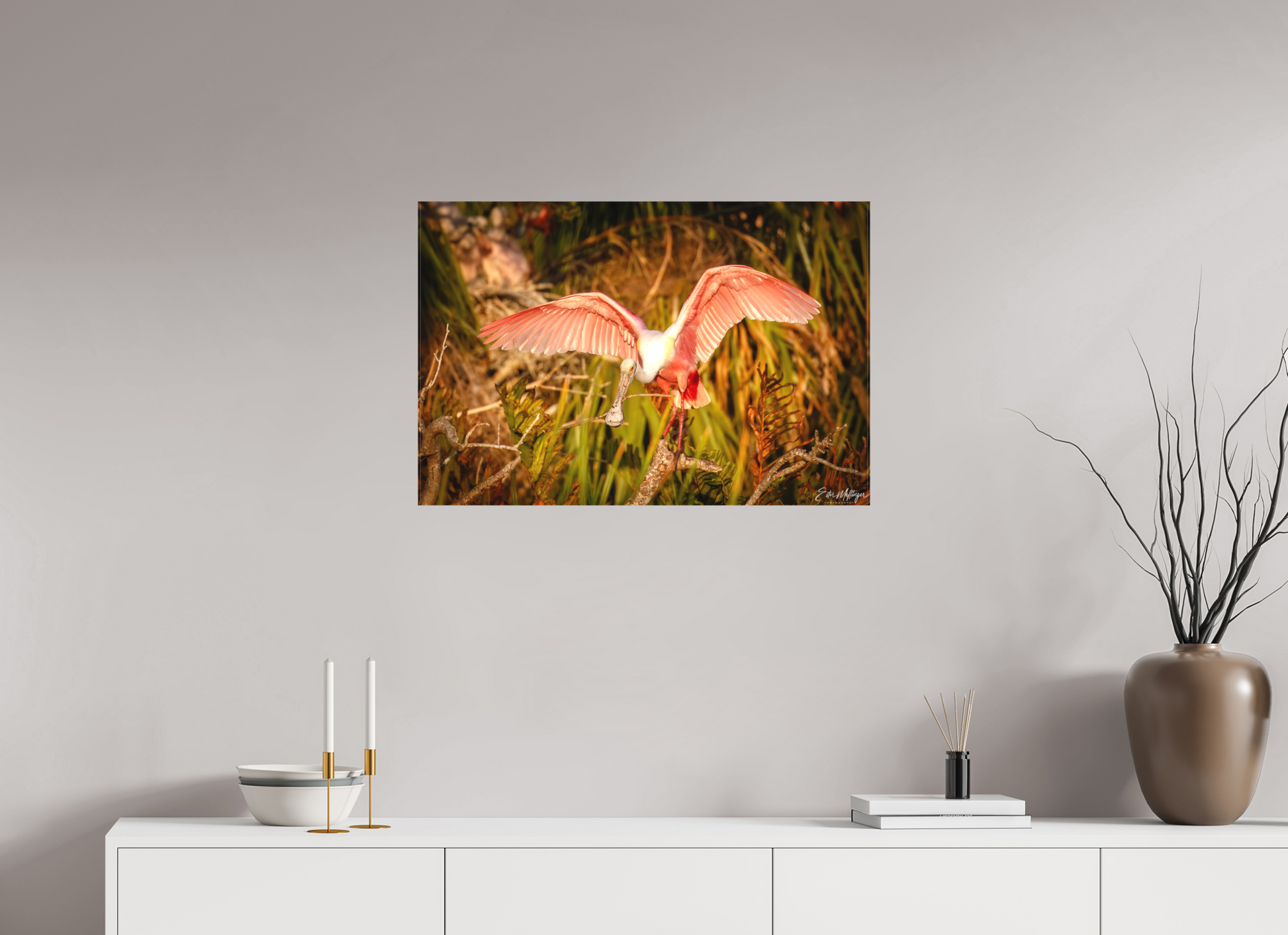 30 x 20″, Canvas "Golden Builder" - Roseate Spoonbill
