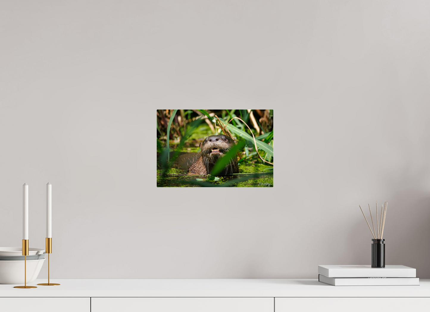 12 x 8″, Acrylic "Swamp Watcher" - American river otter