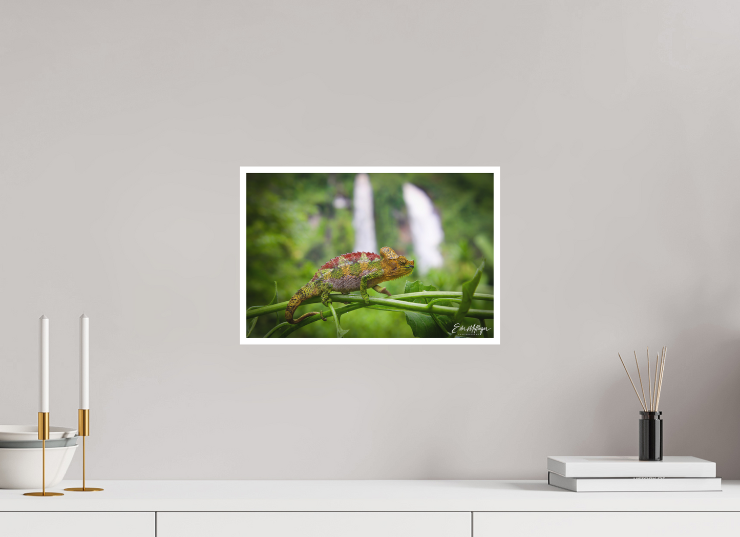 15 x 10″, Fine art print "Guardian of the Falls" - Chameleon in the Rainforest