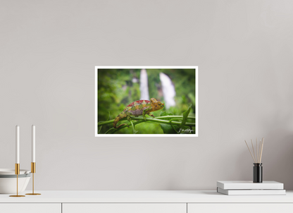 15 x 10″, Fine art print "Guardian of the Falls" - Chameleon in the Rainforest