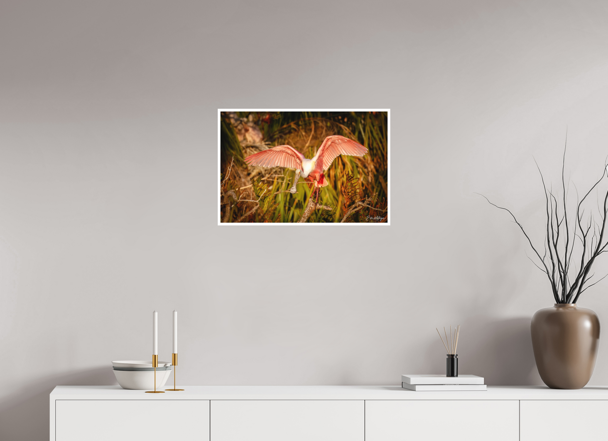 24 x 16″, Fine art print "Golden Builder" - Roseate Spoonbill