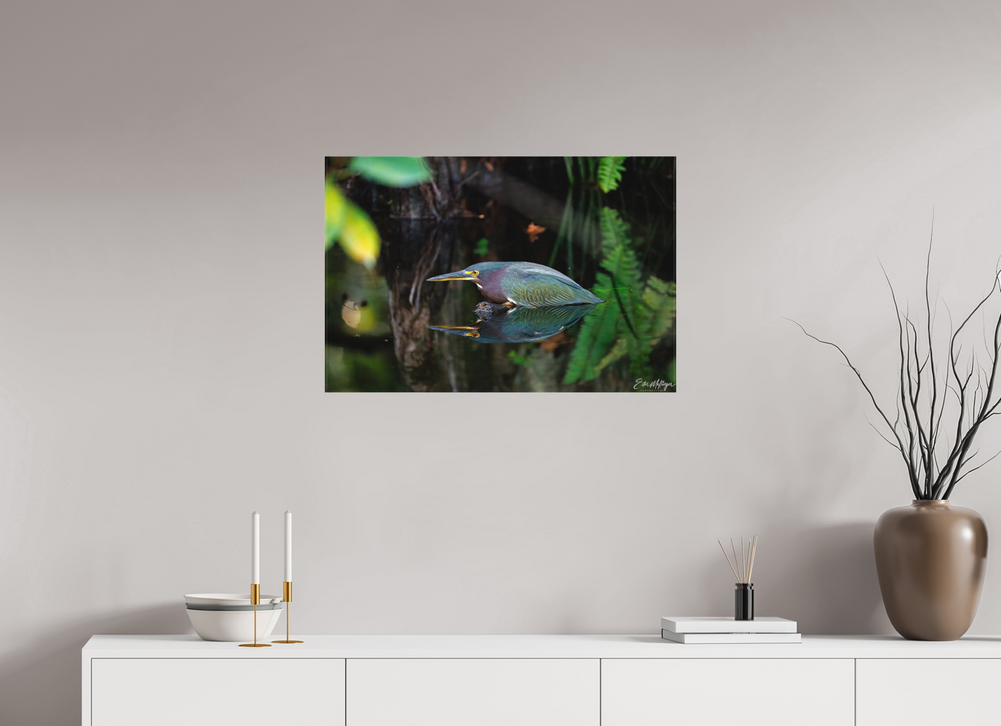 30 x 20″, Canvas "Reflections in the Cypress" - Green Heron
