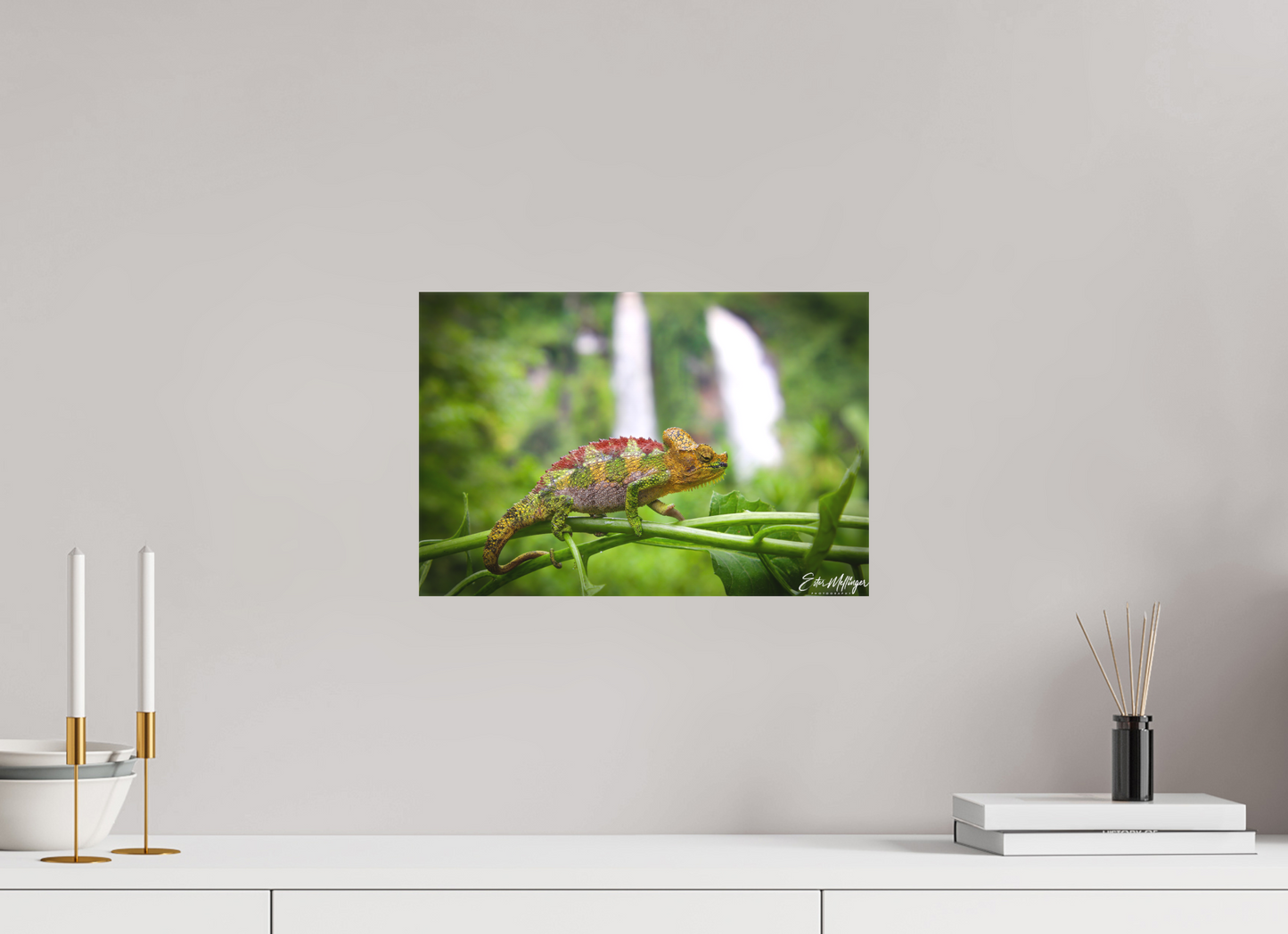 15 x 10″, Canvas "Guardian of the Falls" - Chameleon in the Rainforest
