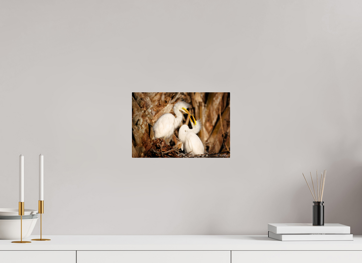 12 x 8″, Acrylic "Wetland Nursery" - Great Egrets