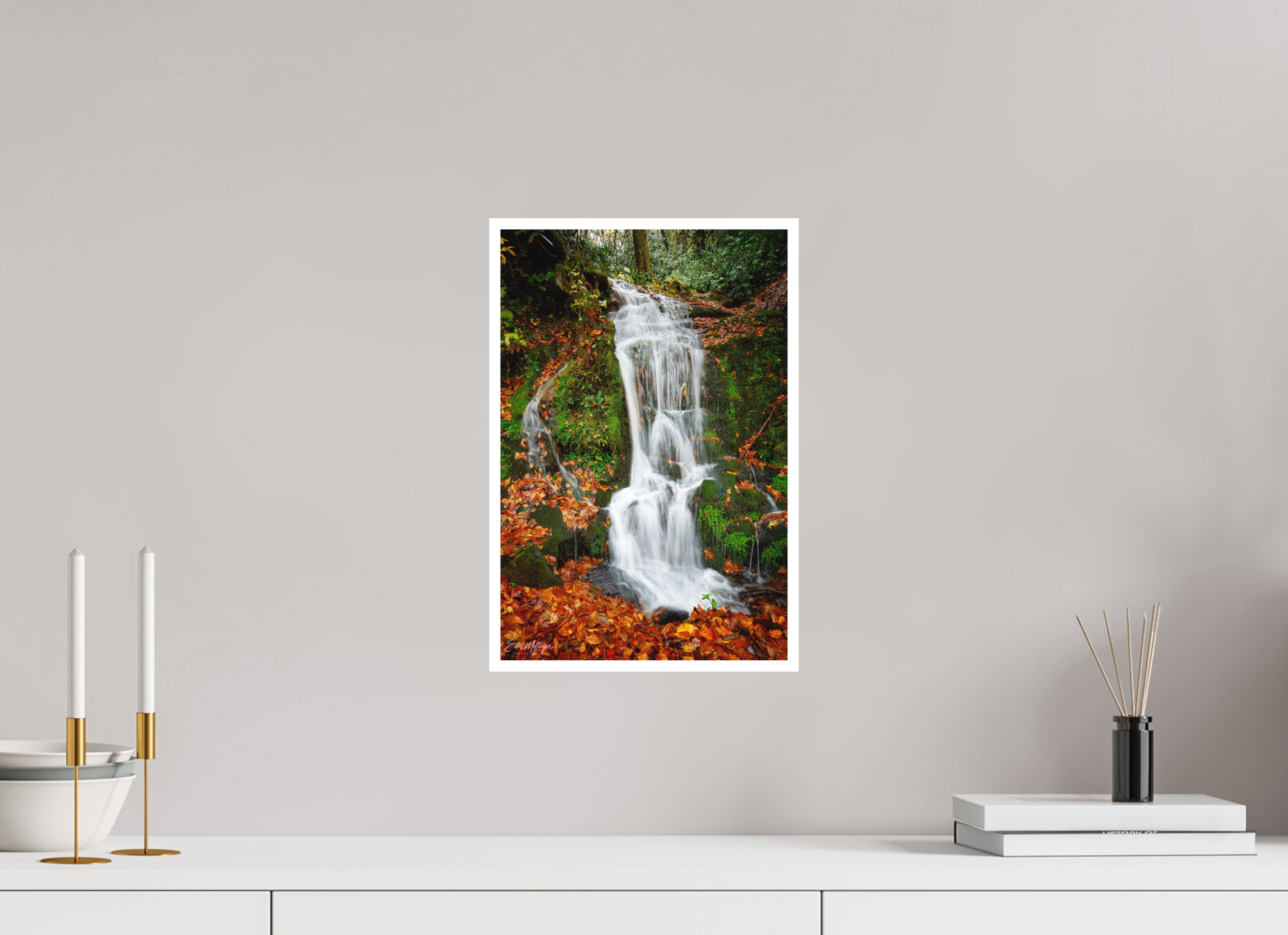 10 x 15″, Fine art print "Where the Forest Flows"