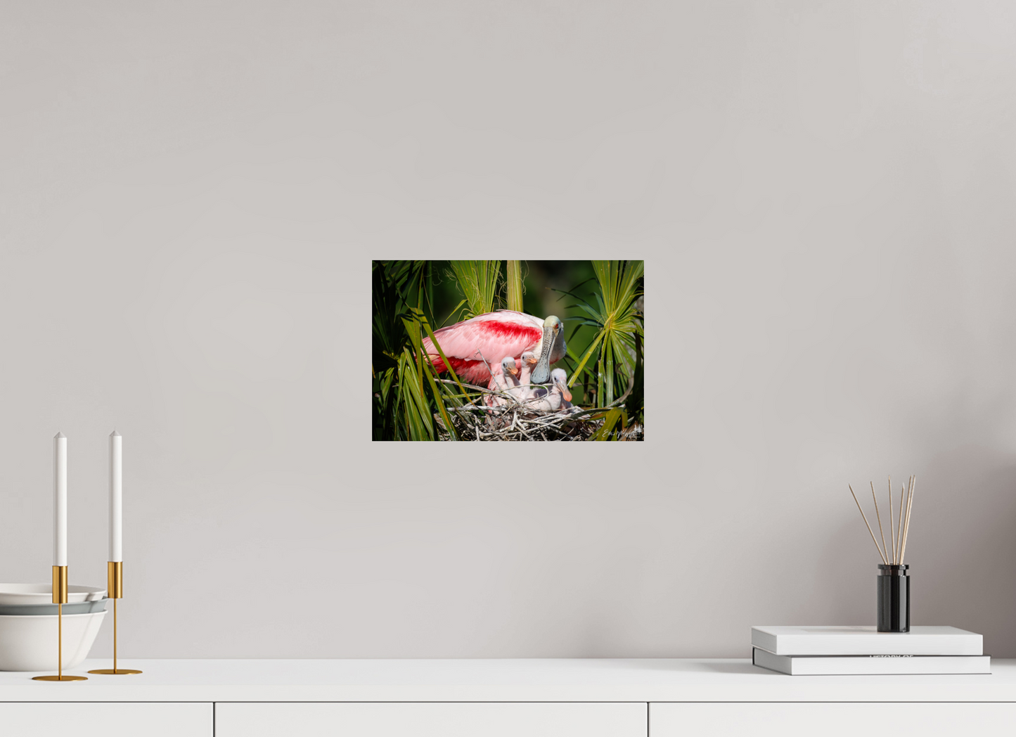 Spoonbill with teaspoons