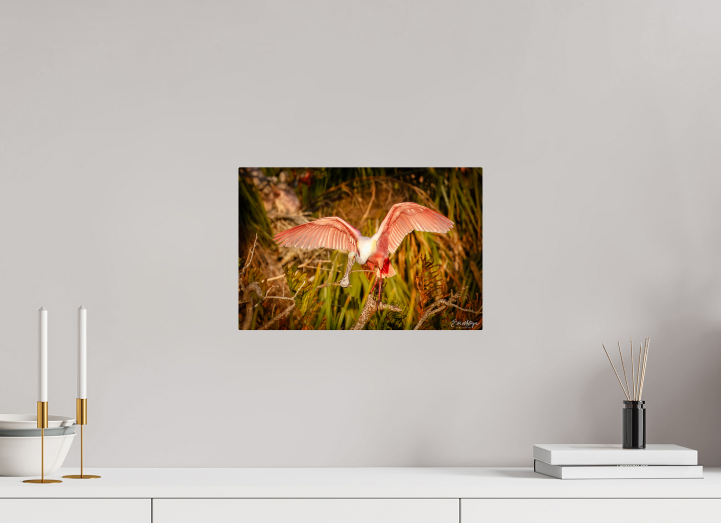 15 x 10″, Metal "Golden Builder" - Roseate Spoonbill