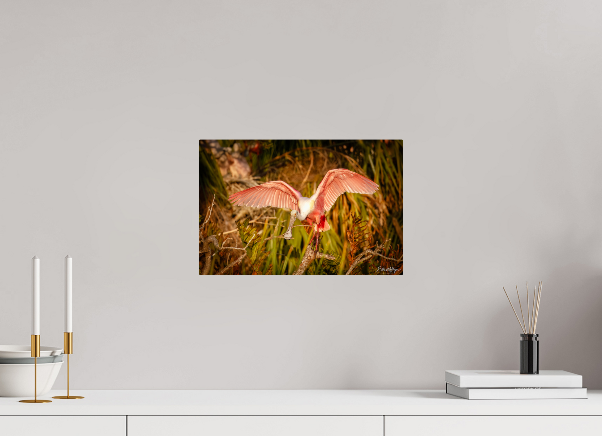 15 x 10″, Metal "Golden Builder" - Roseate Spoonbill