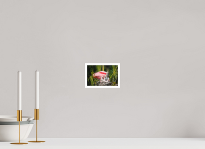 Spoonbill with teaspoons