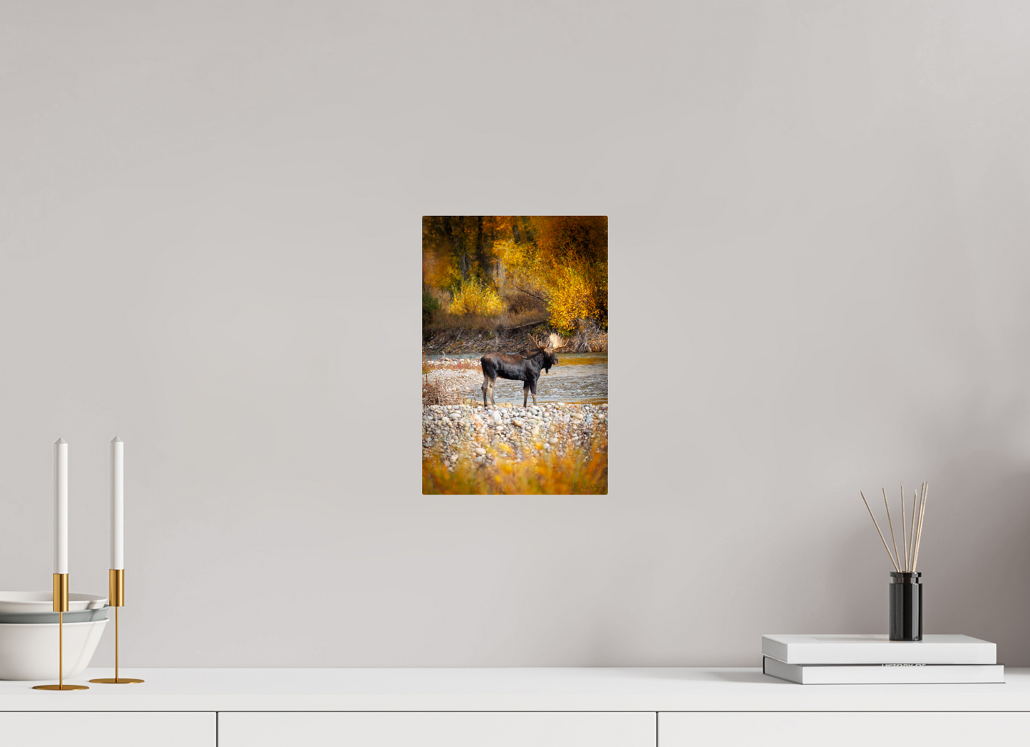 8 x 12″, Metal "King of the Colors" - Bull Elk, Gros Ventre River