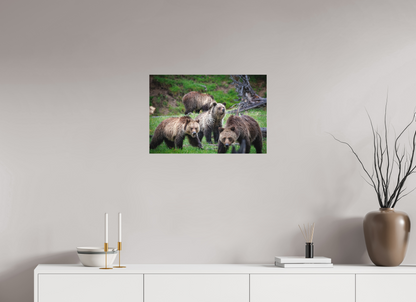 24 x 16″, Canvas "Family Watch" - Grizzly Bears
