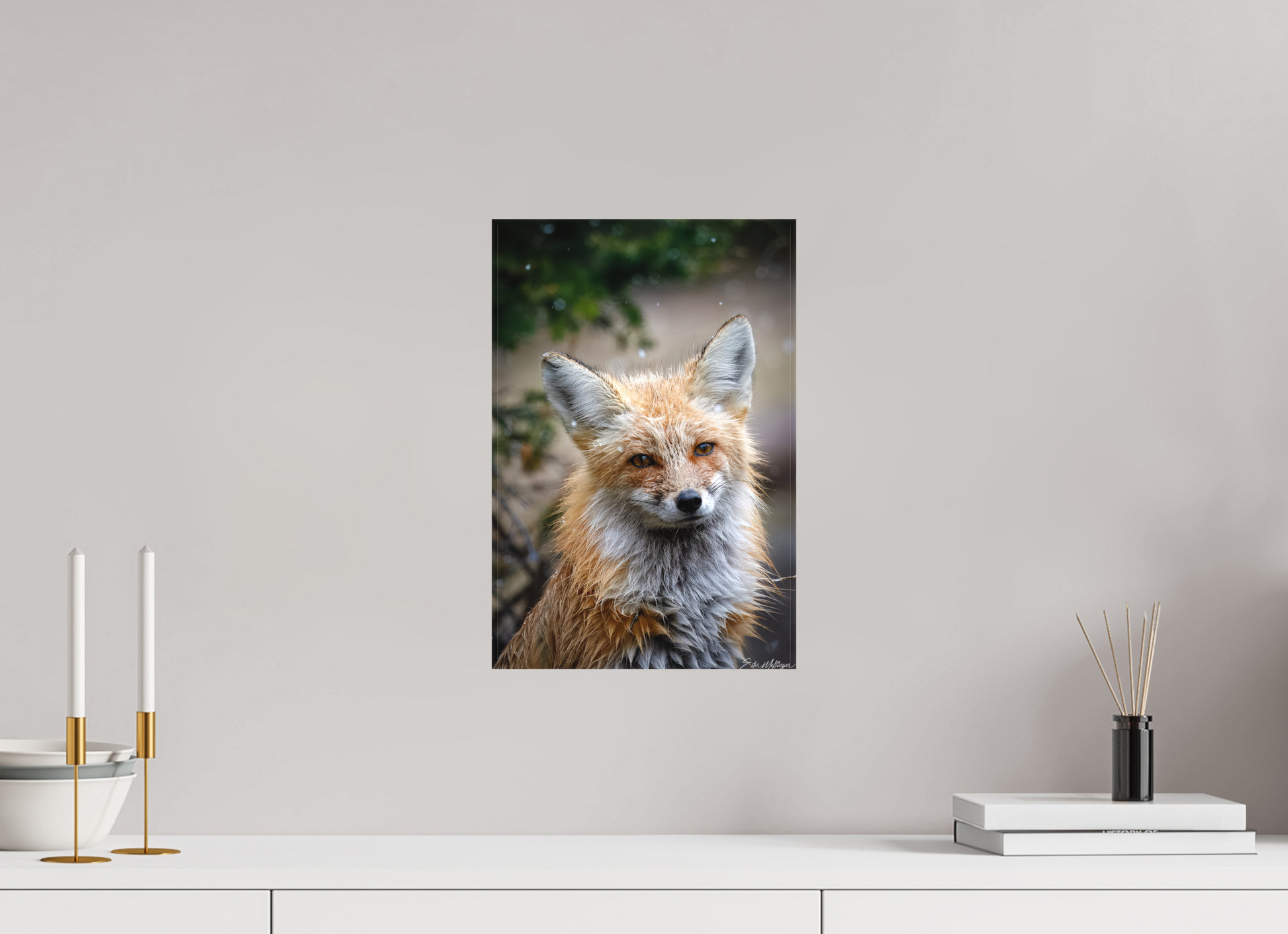 10 x 15″, Canvas "Quiet Mind" - Red Fox