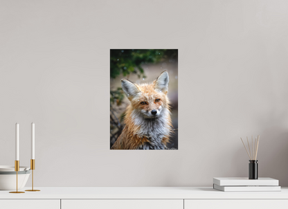 10 x 15″, Canvas "Quiet Mind" - Red Fox