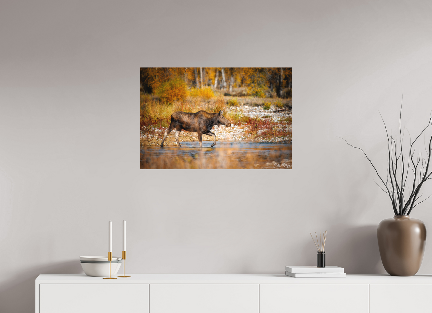 30 x 20″, Canvas "Grace of Gros Ventre" - Moose