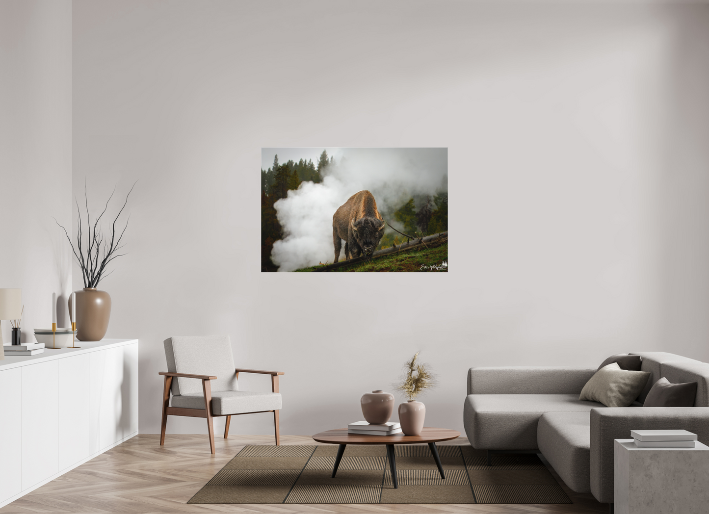 Bison in the fog