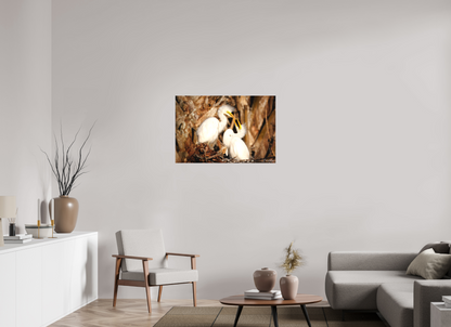 36 x 24″, Canvas "Wetland Nursery" - Great Egrets
