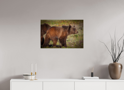 30 x 20″, Acrylic "Sage Wander" - Grizzly bear