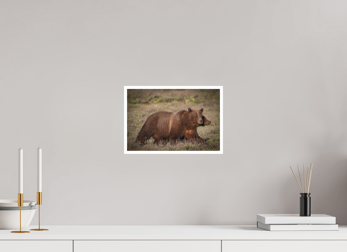 12 x 8″, Fine art print "Grizzly 399 on the Move"