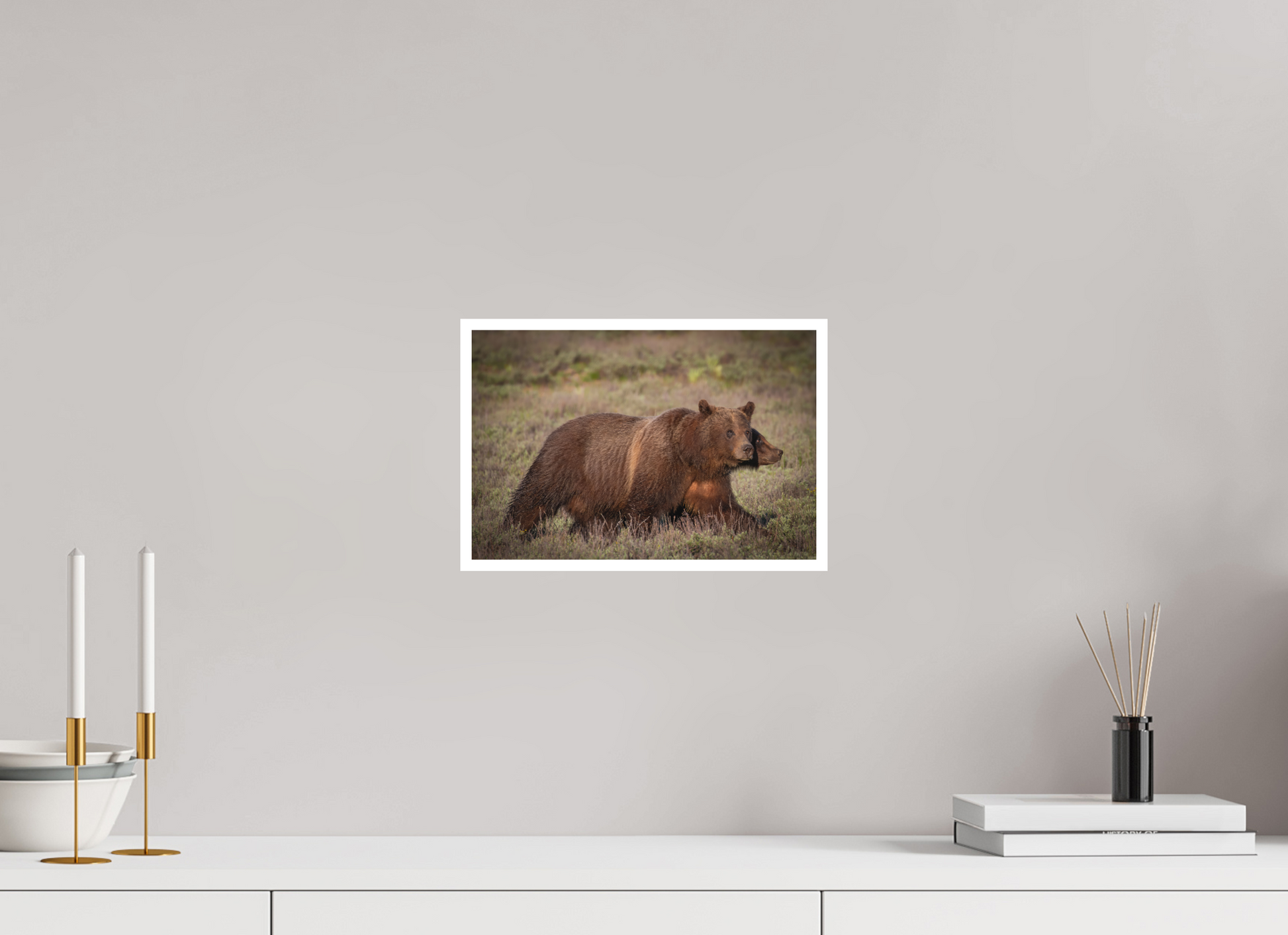 12 x 8″, Fine art print "Grizzly 399 on the Move"