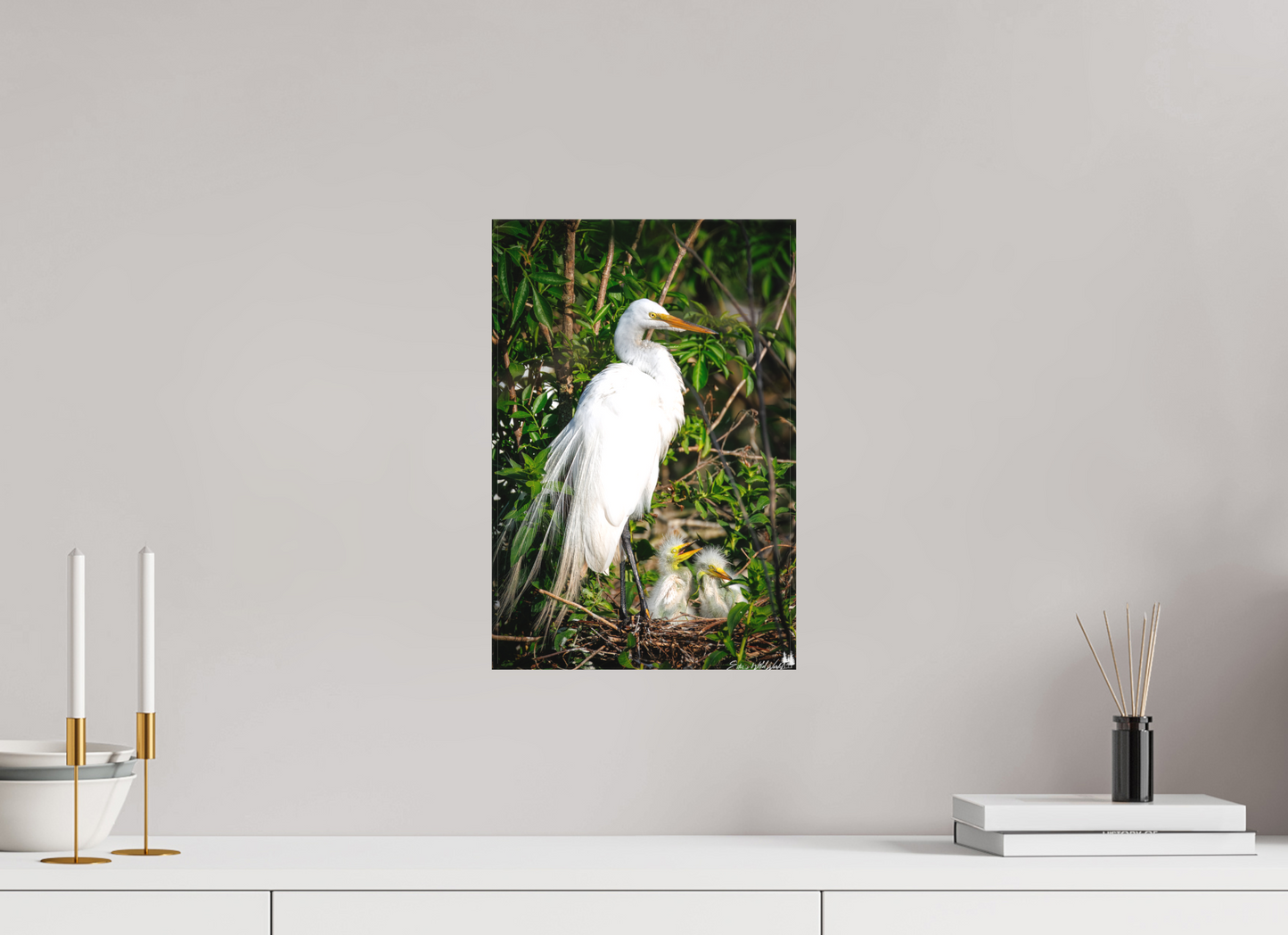 Great egret with chicks