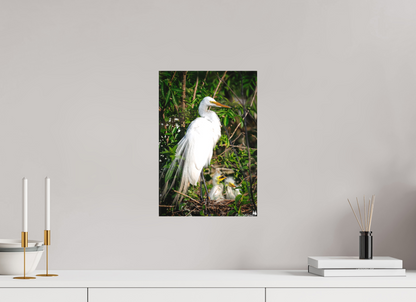 Great egret with chicks