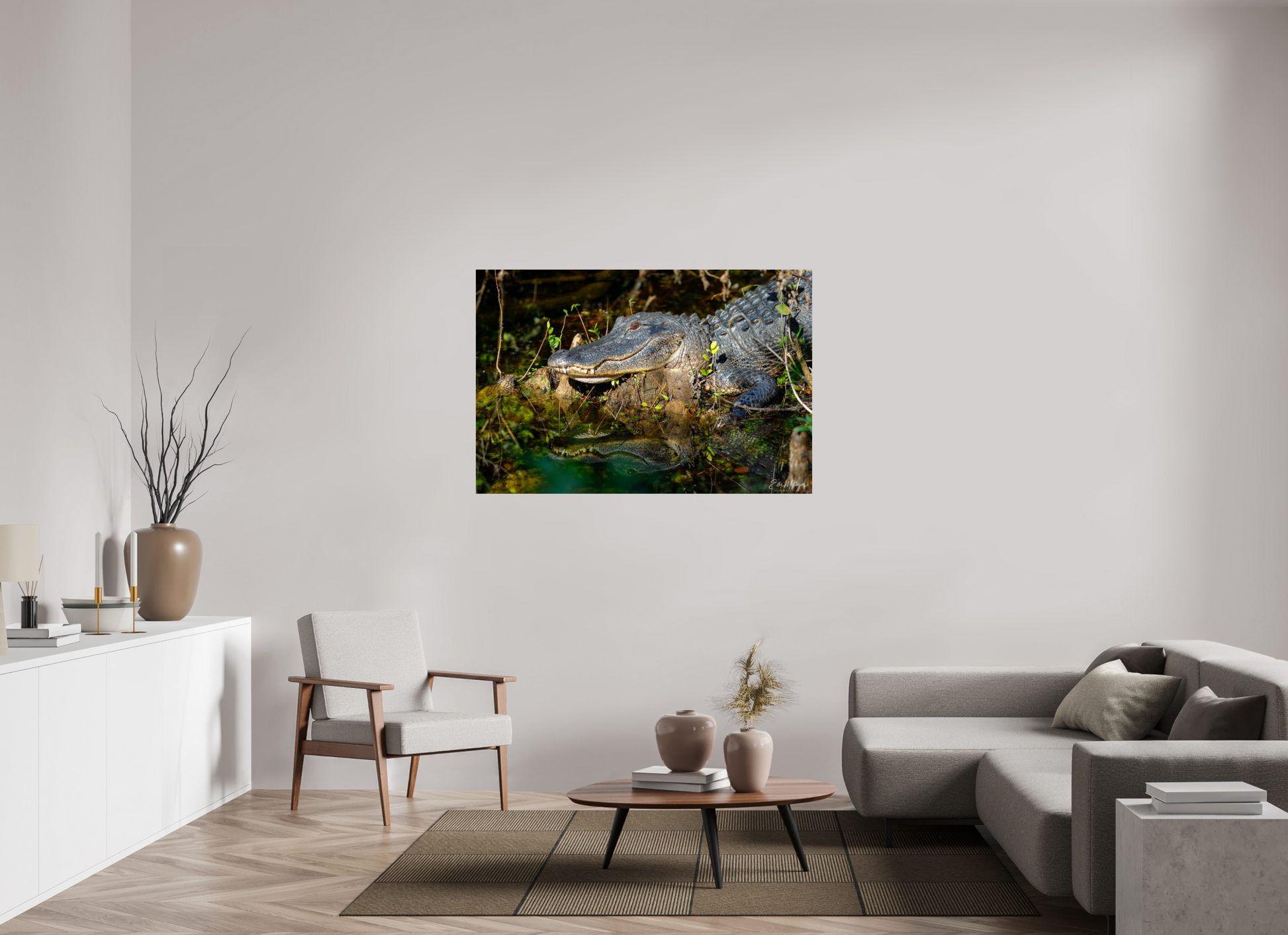 54 x 36″, Metal "Shadow of the Cypress" - American Alligator