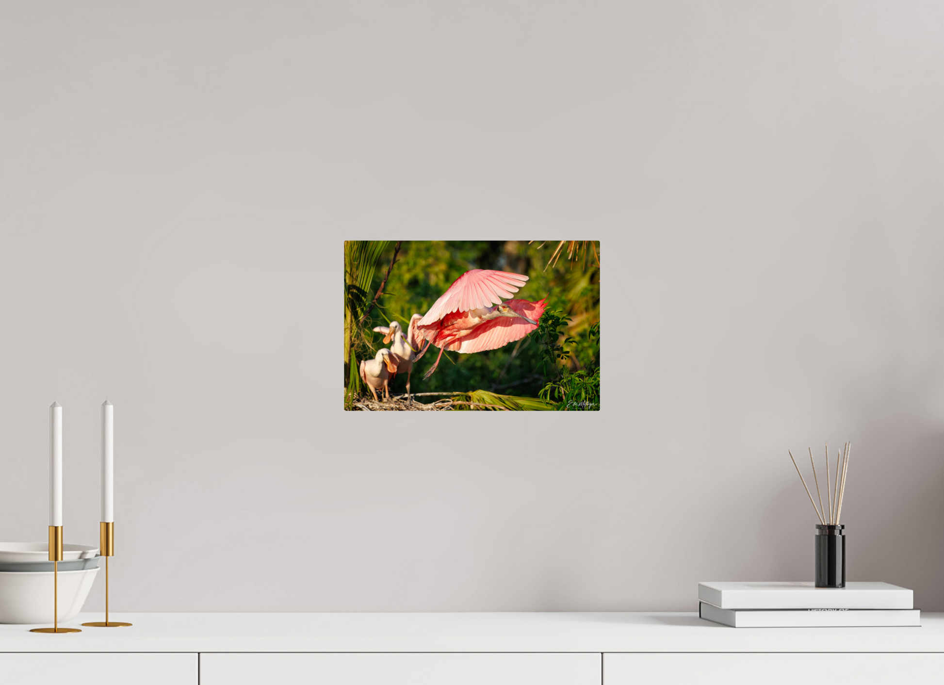 12 x 8″, Metal "After the Feeding" - Roseate Spoonbill