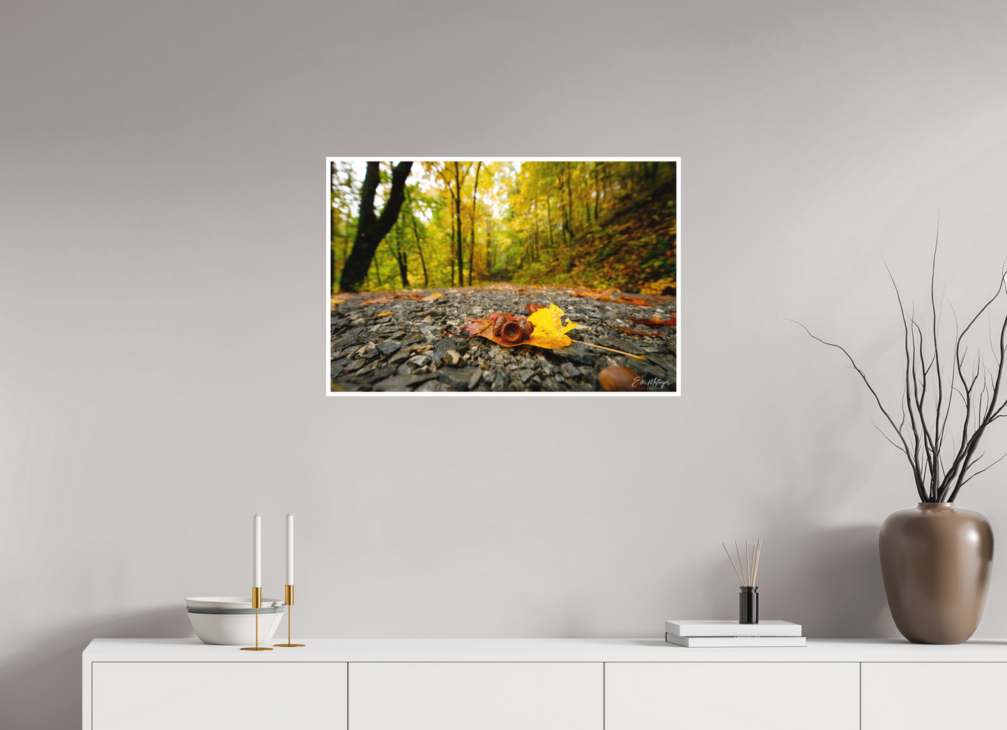 30 x 20″, Fine art print "The Long Way Home" - Cades Cove