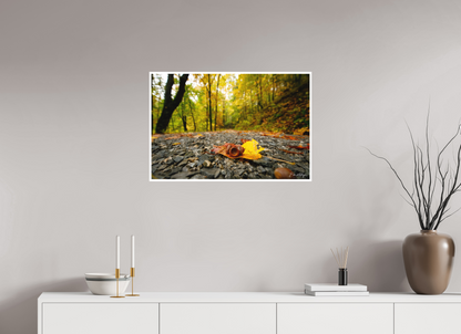 30 x 20″, Fine art print "The Long Way Home" - Cades Cove