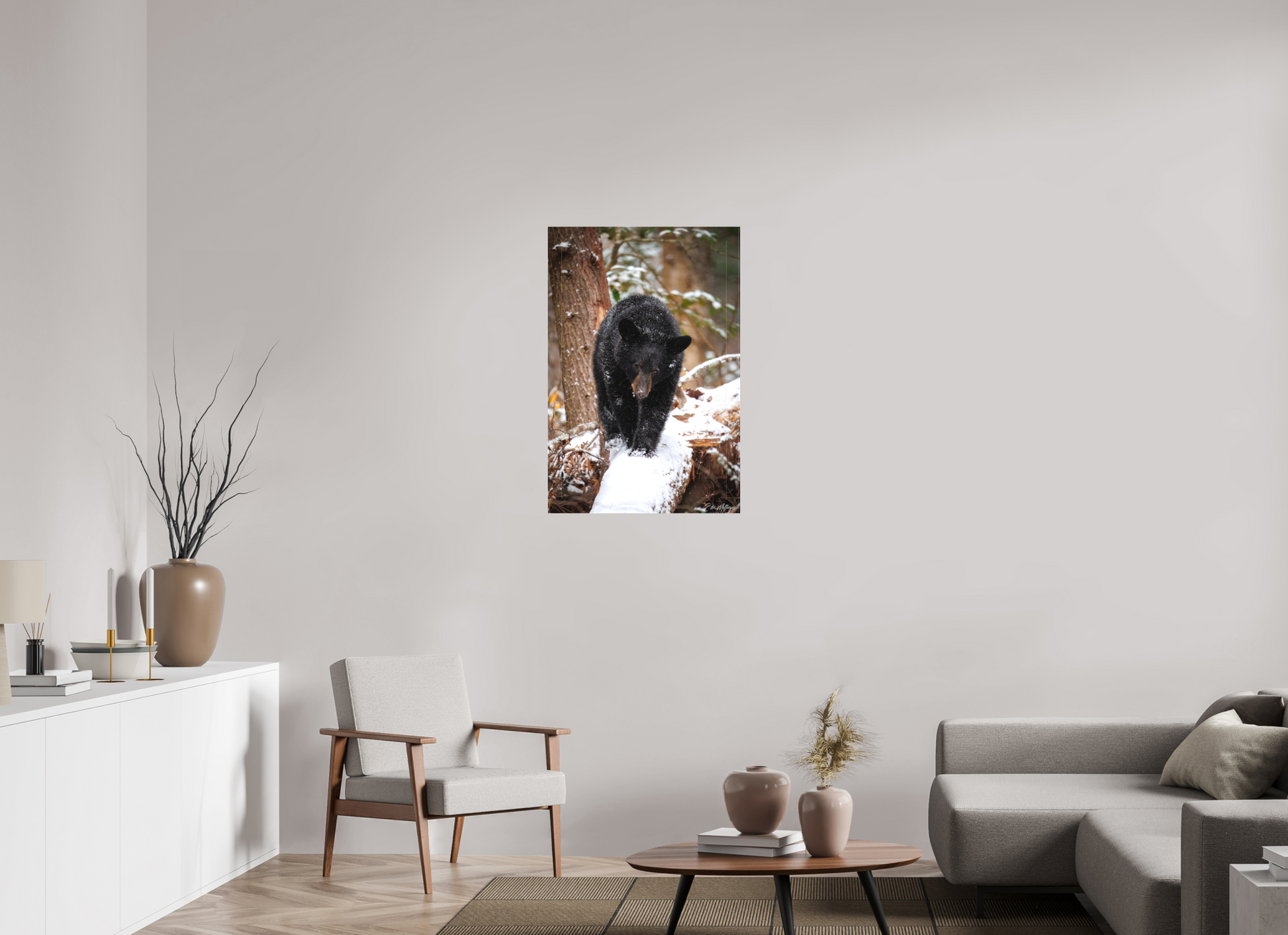 24 x 36″, Canvas "Little Snow Walker" - Black Bear