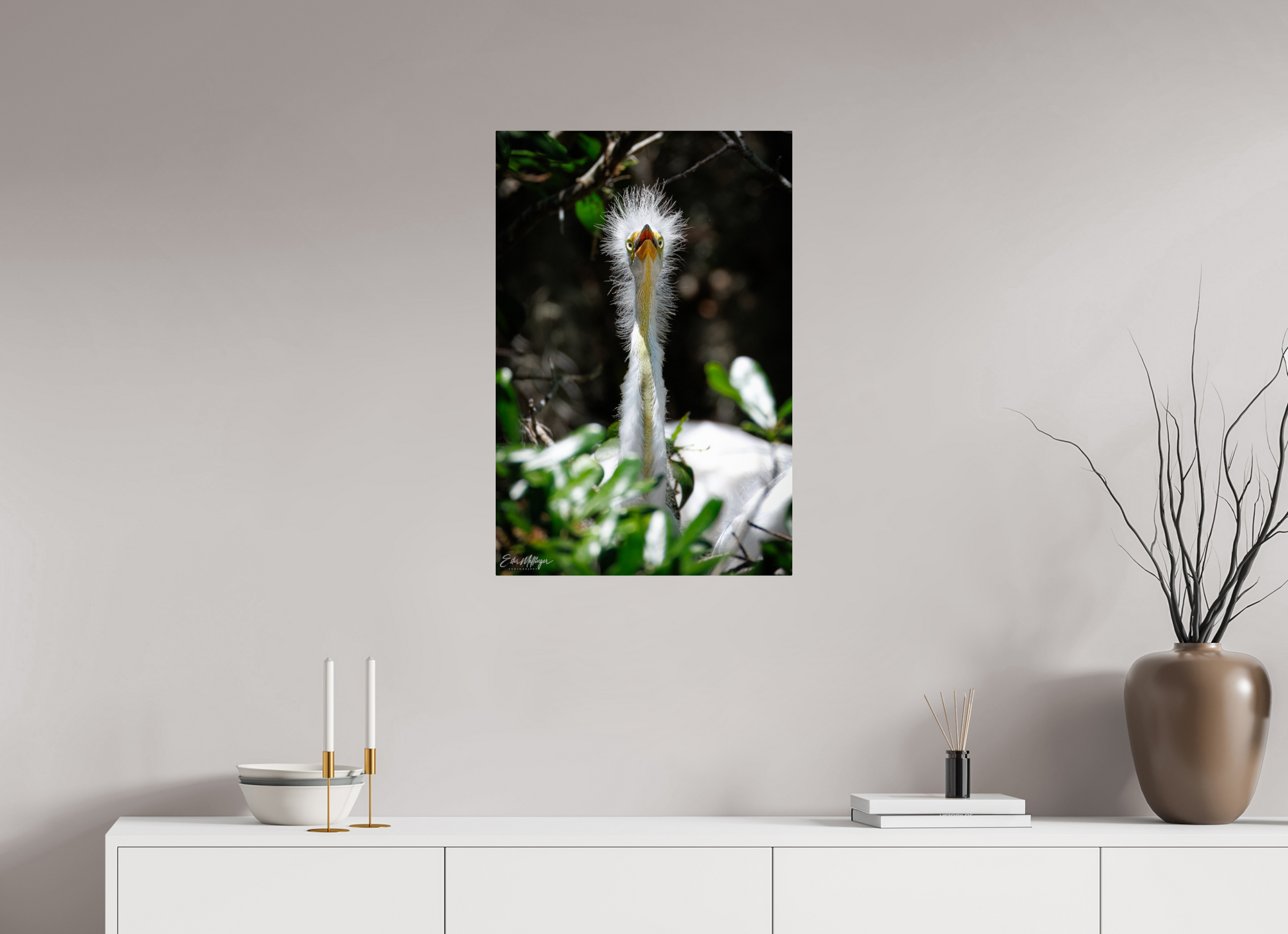 20 x 30″, Metal "Wetland Punk" - Great Egret