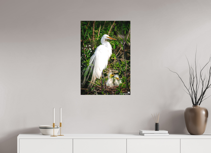 Great egret with chicks