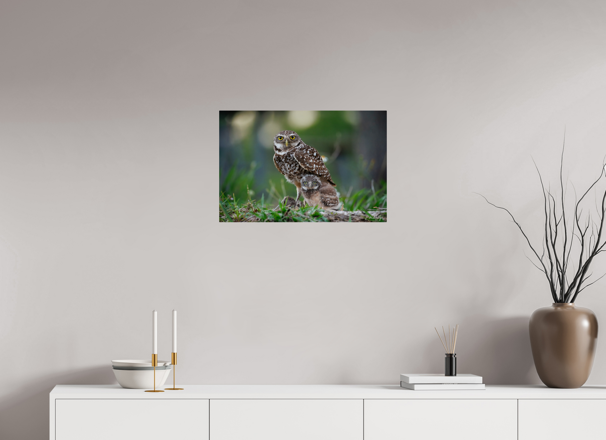 24 x 16″, Metal "Burrowlight" - Burrowing Owls
