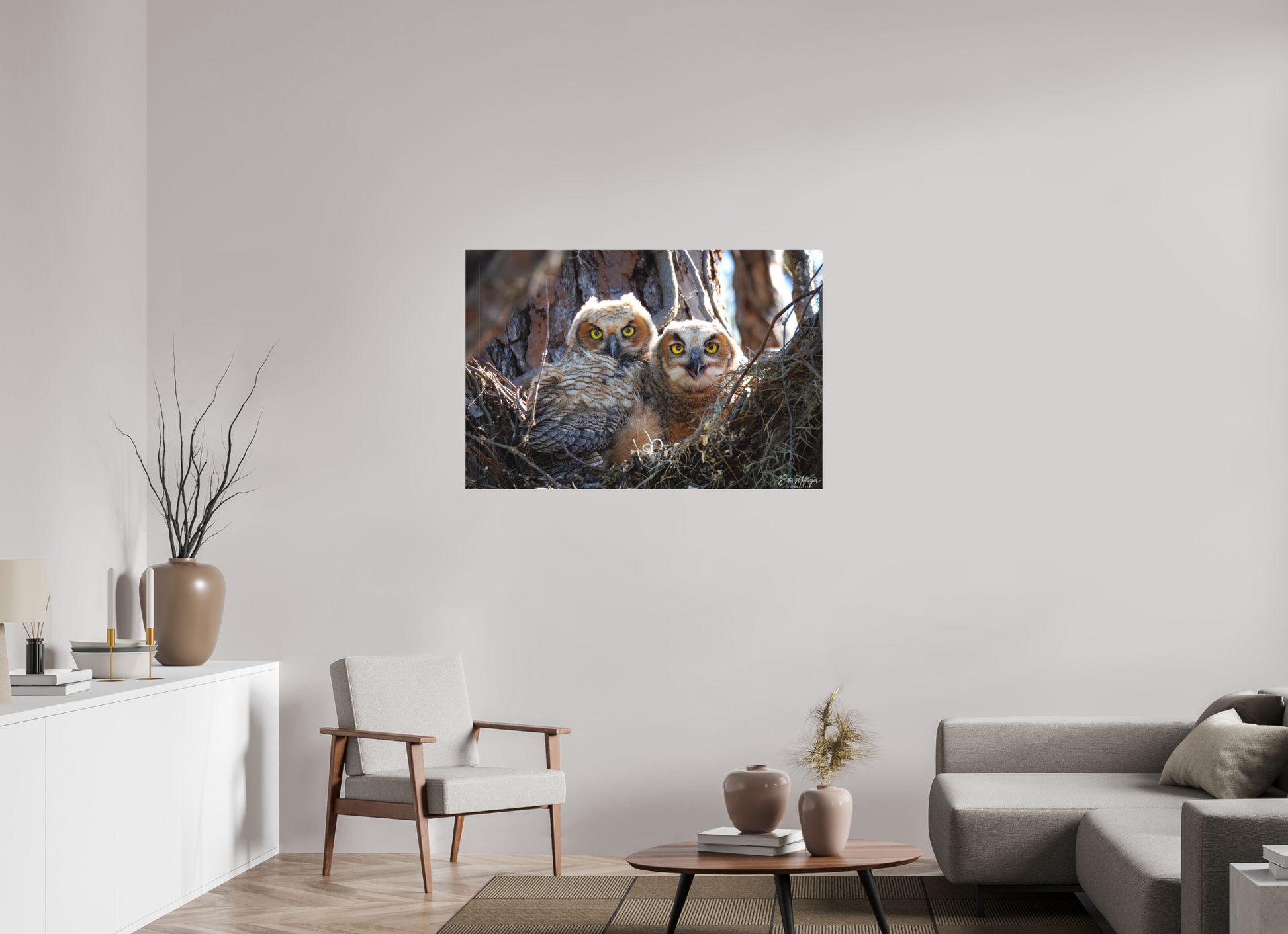 45 x 30″, Canvas "Hidden in the Pines" - Great Horned Owlets